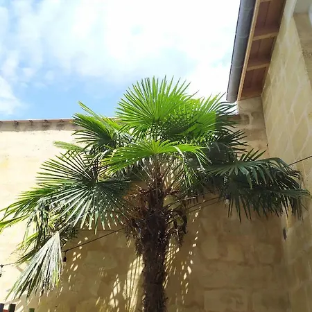 Les De La Mouneyra Apartment